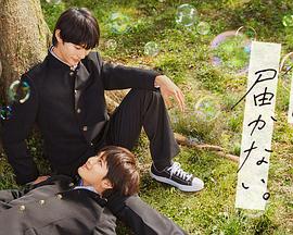 黑寡妇有没有独立海报剧照